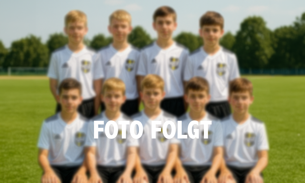 Platzhalterfoto der Mannschaft des SC 1912 Berger Preuß
